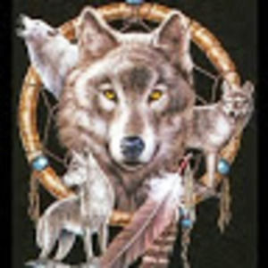 Meet your Posher, Tony